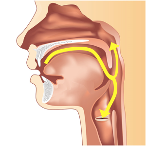感じ 喉 痰 が 絡む ヒステリー球(咽喉頭異常感症)の症状・原因・治療