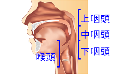 痛い 中 口 の 上 が